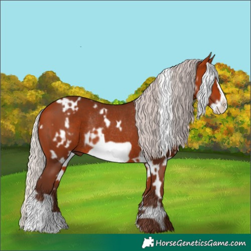 Horse Color:White Spotted Silver Bay Frame Rabicano 