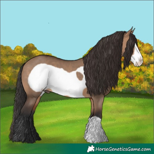 Horse Color:Brown Dun Frame