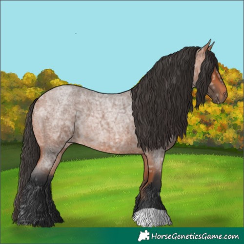 Horse Color:Bay Ice Roan