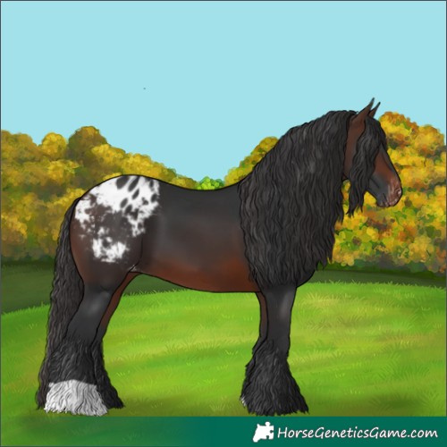 Horse Color:Brown Blanket 