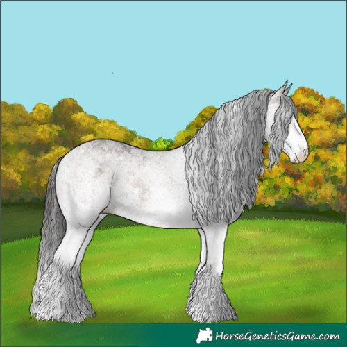 Horse Color:White Spotted Brown Rabicano