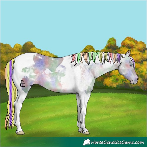 Horse Color:Painted Nacre Silver Brown Chinchilla Dun Tobiano Appaloosa 