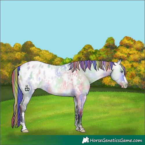 Horse Color:Painted Nacre White Spotted Bay Chinchilla Dun Blanket 