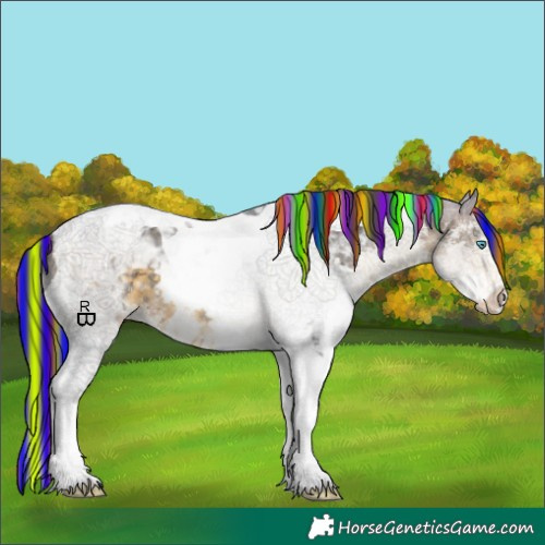Horse Color:Painted Buckskin Sabino Splash Tobiano Appaloosa 