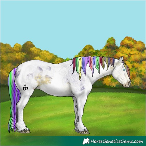 Horse Color:Painted Watercolor Buckskin Splash Tobiano