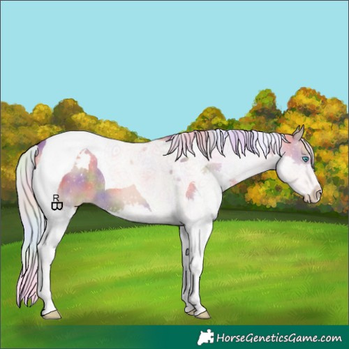 Horse Color:Nacre Silver Classic Champagne Splash Tobiano