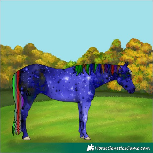 Horse Color:ERROR: UNKNOWN ANOMALY