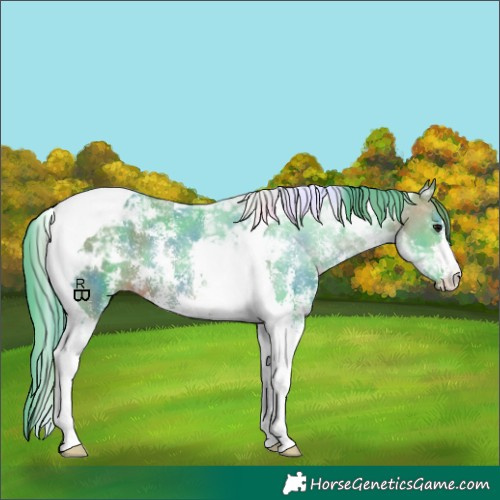 Horse Color:Nacre Watercolor Brown Sabino Tobiano 