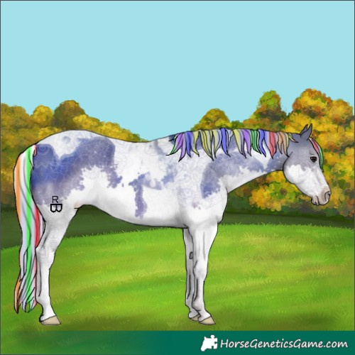 Horse Color:Painted Silver Grullo Splash Tobiano 