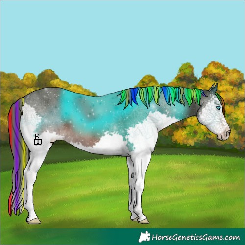Horse Color:Painted Liver Chestnut Sabino Splash