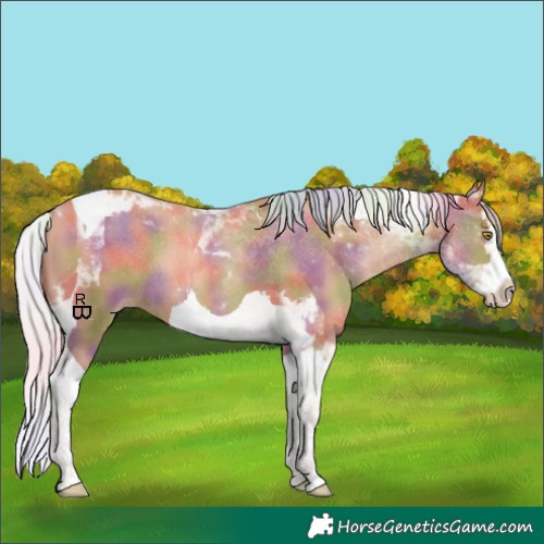 Horse Color:Nacre Silver Sable Champagne Splash Tobiano