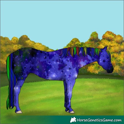 Horse Color:ERROR: UNKNOWN ANOMALY