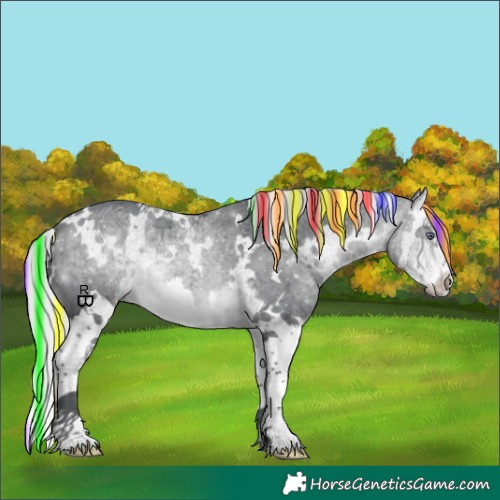 Horse Color:Painted White Spotted Silver Brown Chinchilla Splash 