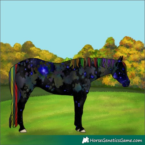 Horse Color:ERROR: UNKNOWN ANOMALY