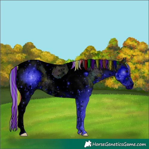 Horse Color:ERROR: UNKNOWN ANOMALY