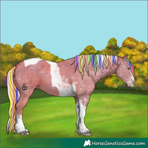 Horse Color:Painted Silver Classic Champagne Sabino Tobiano