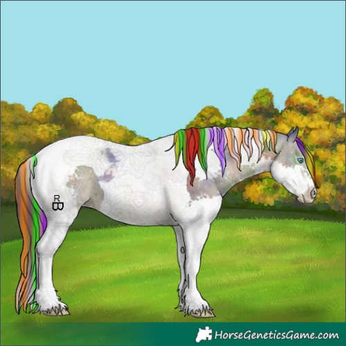 Horse Color:Painted Nacre Brown Dun Splash Tobiano Appaloosa 