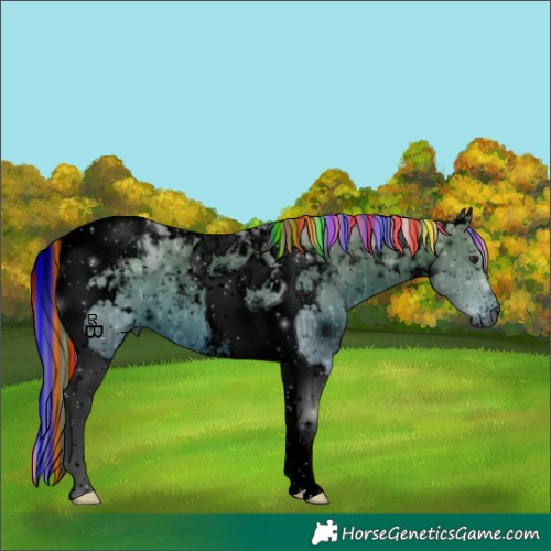 Horse Color:ERROR: UNKNOWN ANOMALY