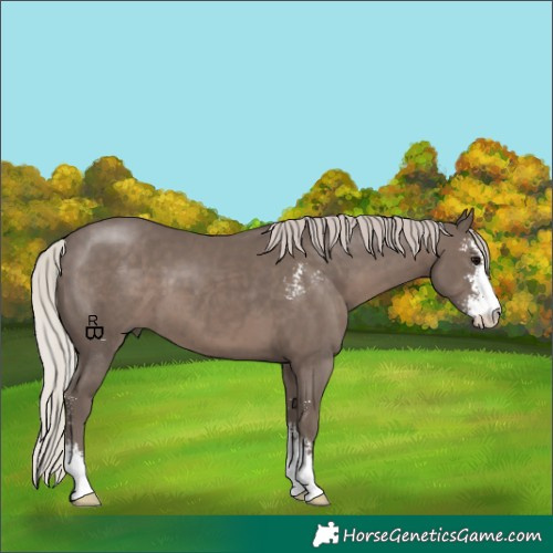 Horse Color:Silver Black Sabino