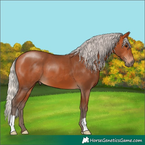 Horse Color:Silver Bay 