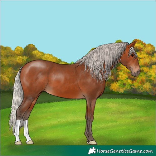 Horse Color:Silver Bay