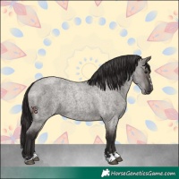 Horse Color:Smoky Grullo Roan 