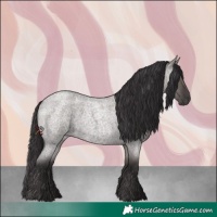 Horse Color:Smoky Grullo Roan