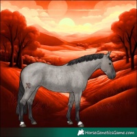 Horse Color:Smoky Grullo Roan