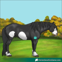 Horse Color:Black Frame 