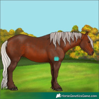 Horse Color:Silver Brown 