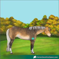 Horse Color:Silver Buckskin Tobiano 