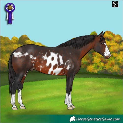 Horse Color:Brown Skewed LP Spotted 