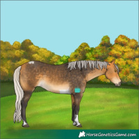 Horse Color:Silver Buckskin Tobiano 