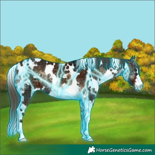 Horse Color:Thunderstruck White Spotted Red Onyx Ice Appaloosa
