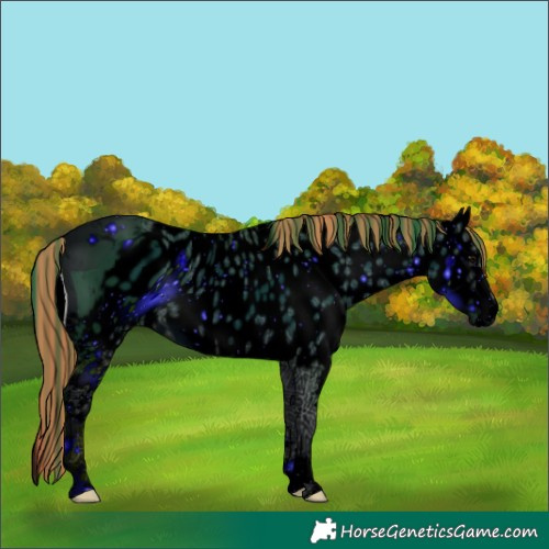Horse Color:ERROR: UNKNOWN ANOMALY
