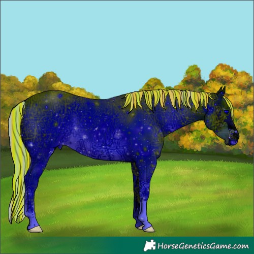 Horse Color:ERROR: UNKNOWN ANOMALY