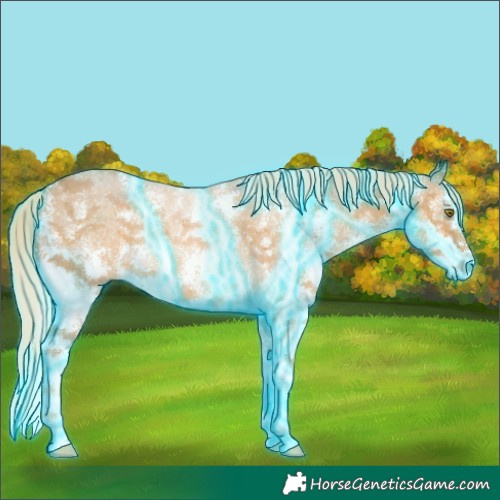 Horse Color:Thunderstruck Palomino Sabino 