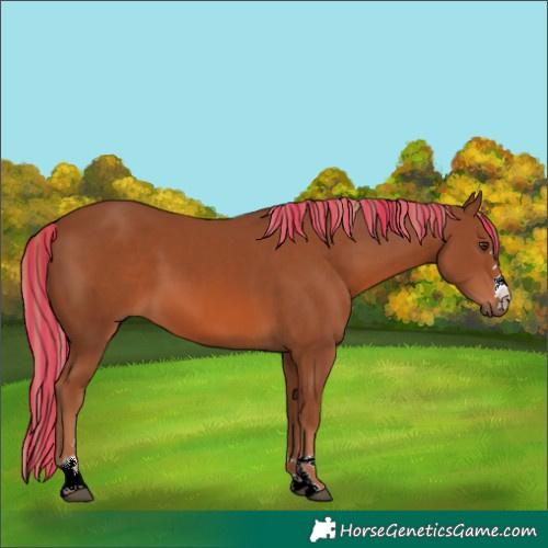 Horse Color:Painted Chestnut