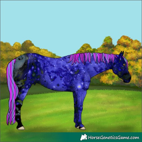 Horse Color:ERROR: UNKNOWN ANOMALY