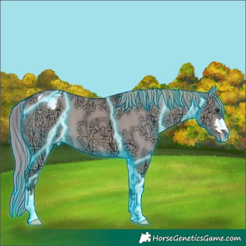 Horse Color:Thunderstruck Watercolor Red Dun Ice Appaloosa 