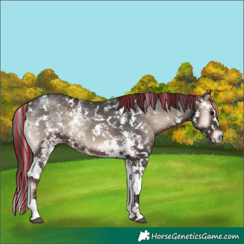 Horse Color:Painted Blue Onyx Sabino 