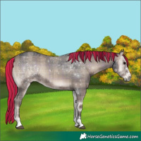 Horse Color:Painted Plaid Blue Onyx