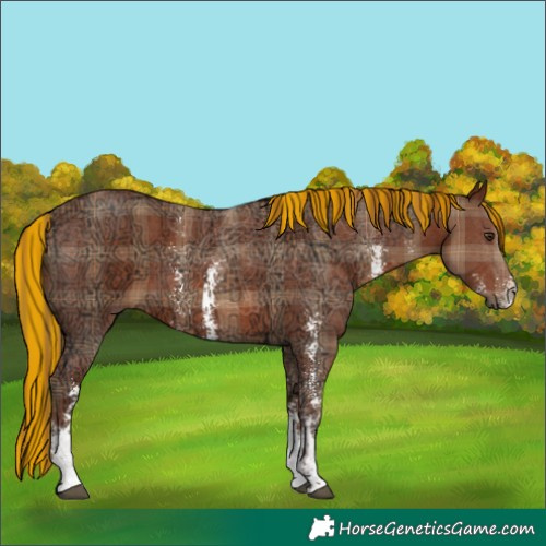 Horse Color:Painted Plaid Chestnut Ice Sabino