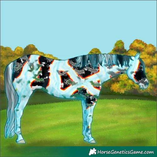 Horse Color:Thunderstruck Grullo Sabino Rabicano 