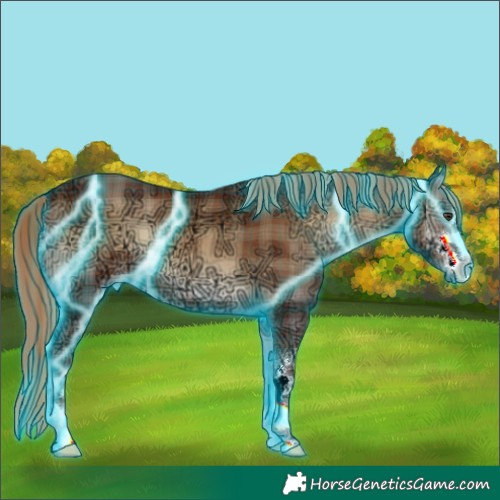 Horse Color:Thunderstruck Plaid Red Onyx Ice