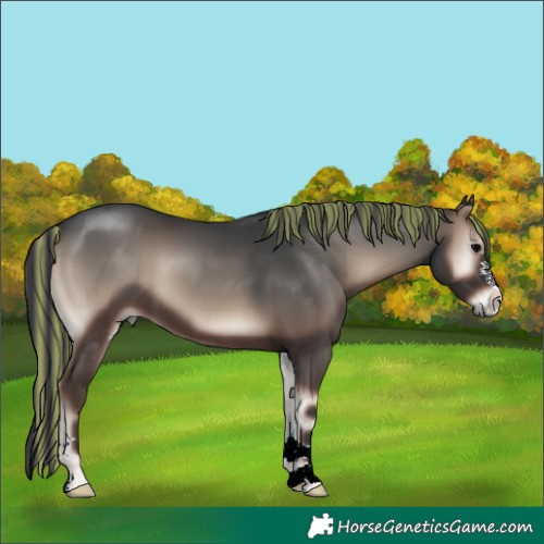 Horse Color:Painted Blue Onyx 