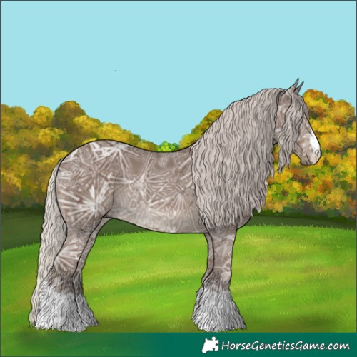 Horse Color:Silver Black Ice 