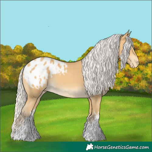 Horse Color:White Spotted Silver Amber Cream Champagne Appaloosa