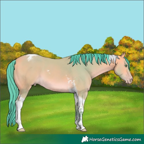 Horse Color:Watercolor Amber Cream Champagne Tobiano 
