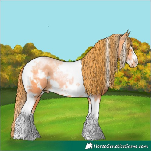 Horse Color:Smoky Black Pearl Tobiano Frame 